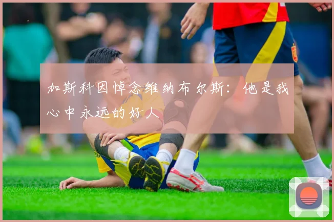 加斯科因悼念维纳布尔斯：他是我心中永远的好人